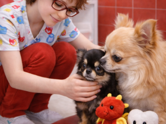 MIH chez l’enfant : non, ce n’est pas votre faute : causes, risques et prise en charge