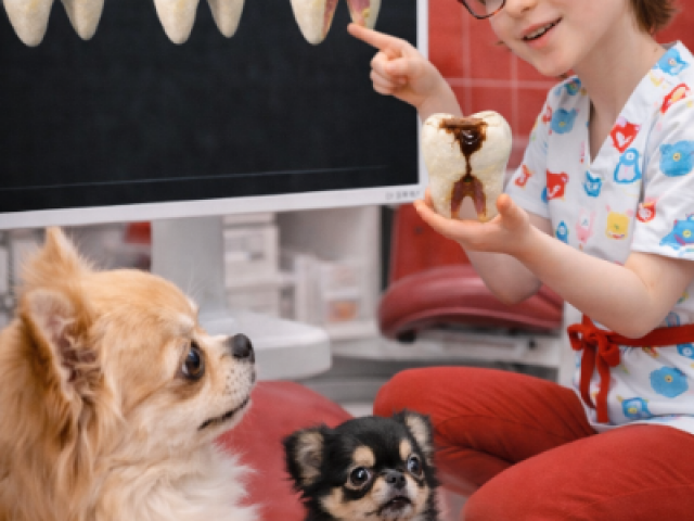 MIH chez l’enfant : non, ce n’est pas votre faute : causes, risques et prise en charge