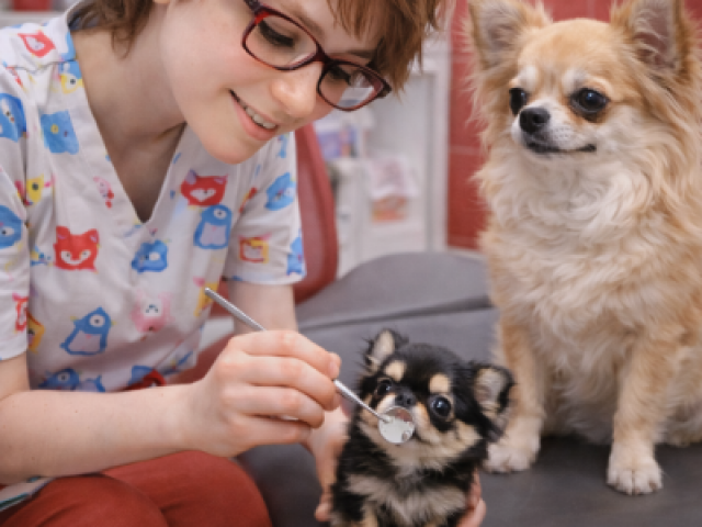 MIH chez l’enfant : non, ce n’est pas votre faute : causes, risques et prise en charge